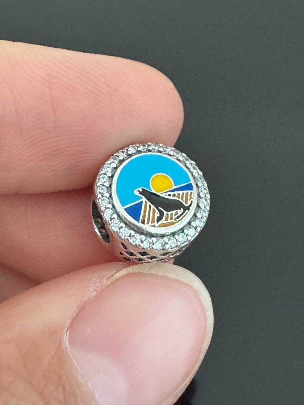 Pandora San Diego Bead Charm Exclusive - Picture 7 of 9